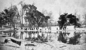 Snow around lake - Jackson County, Florida