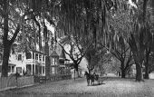 Saint Johns Avenue near Dixie Land Park - Jacksonville, Fla..
