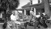 Boy riding ox as it pulls man in cart - Kissimmee, Florida