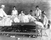 FERA workers at mattress factory - Gainesville, Florida.