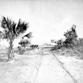 View of landing - Mellonville, Florida