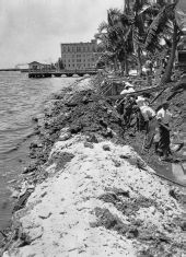 Miramar sea-wall construction