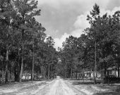 Street scene at the WPA's Camp Roosevelt - Ocala, Florida.