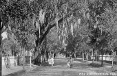 View of children on Pine Street - Ocala, Florida.