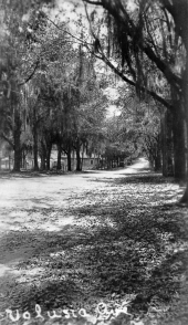 Tree-lined Volusia Avenue - Orange City, Florida