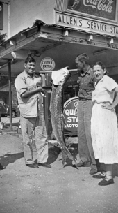 Showing of a catch of Tarpon at Allen's Service Station - Panacea, Florida