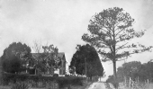 Main house and road on Ivanhoe Plantation