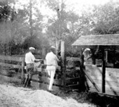 The dipping vat at Tall Timbers - Tallahassee, Florida