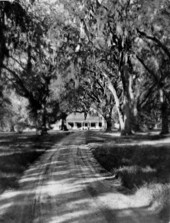 Waverly Plantation