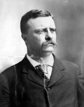 Portrait of President Theodore "Teddy" Roosevelt