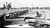 Boats at Tampa Bay Regatta