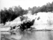 View of a bluff - Apalachicola River, Florida