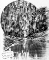 The source of the Saint Johns River