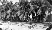 Construction workers camp - Long Key, Florida