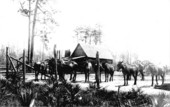 City mule stable - St. Cloud, Florida