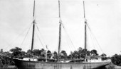 William Bisbee - Tampa, Florida