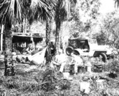 Snake catchers in the Everglades, Florida.