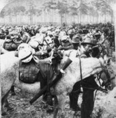 Rough Riders' Troop H - Tampa, Florida