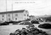 Sponge catch for sale - Key West, Florida