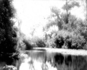 Rock Springs, Florida.