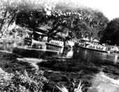 Rainbow Springs, Florida