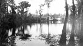 View across Silver Springs - Ocklawaha River, Florida