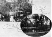Two views of Sulphur Springs - Tampa, Florida