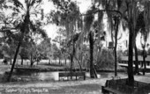 Sulphur Springs - Tampa, Florida