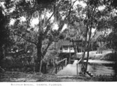 View of dock at Sulphur Springs - Tampa, Florida.