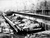 Looking west at rear Charlie Bowlegs Creek dam - Highlands Hammock State Park, Fla.