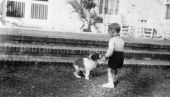 Boy and Saint Bernard puppy outside John W. Martin home.