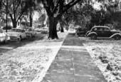Snow on the ground in Tallahassee.