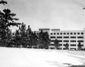 Tallahassee Memorial Hospital and snow covered ground.