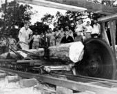 Boy guiding log to the saw at Forestry Training camp