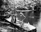 Dock and diving platform on Sante Fe River O'Leno State Park, Florida