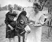 Women feeding hat-wearing donkey - Florida