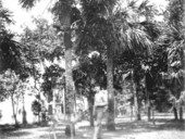 Young man and deer - Indianola, Florida