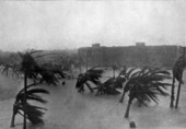 Hurricane action shot in Miami Beach, Florida.