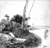 Stereoview of people at Gemini Springs - Enterprise, Florida