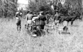 Rabbit hunters on Tall Timbers Plantation - Tallahassee, Florida