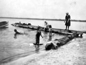 People swimming in Crooked Lake - Babson Park, Florida