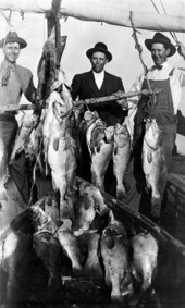 Grouper fishing the Gulf of Mexico