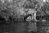Members of boat club on the Suwannee River at Otter Springs - Gilchrist County, Florida