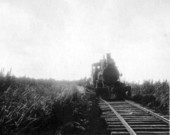 Surfacing of rails during the building of the Moore Haven and Clewiston Railway