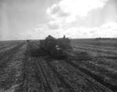 View of workers using agricultural machinery.