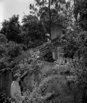 Unidentified man looking at a Kingsley Plantation building - Fort George Island, Florida.