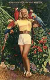 Parrot Jungle scene