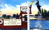Theater of the Sea, Islamorada - the Keys, Florida