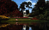 Gazebo at Florida Cypress Gardens