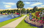 In one of Florida's beautiful parks